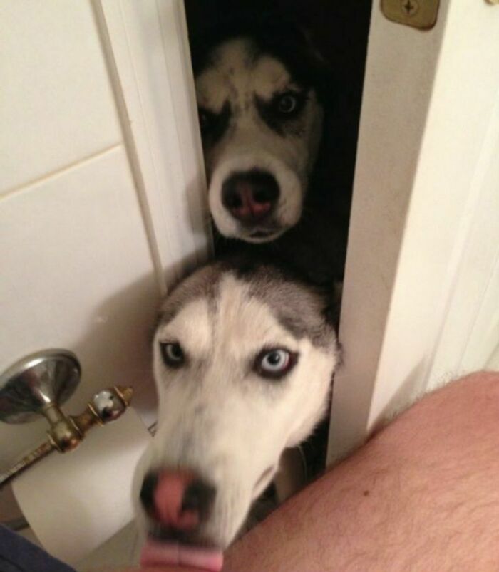 They Think Your Personal Space Is A Joke