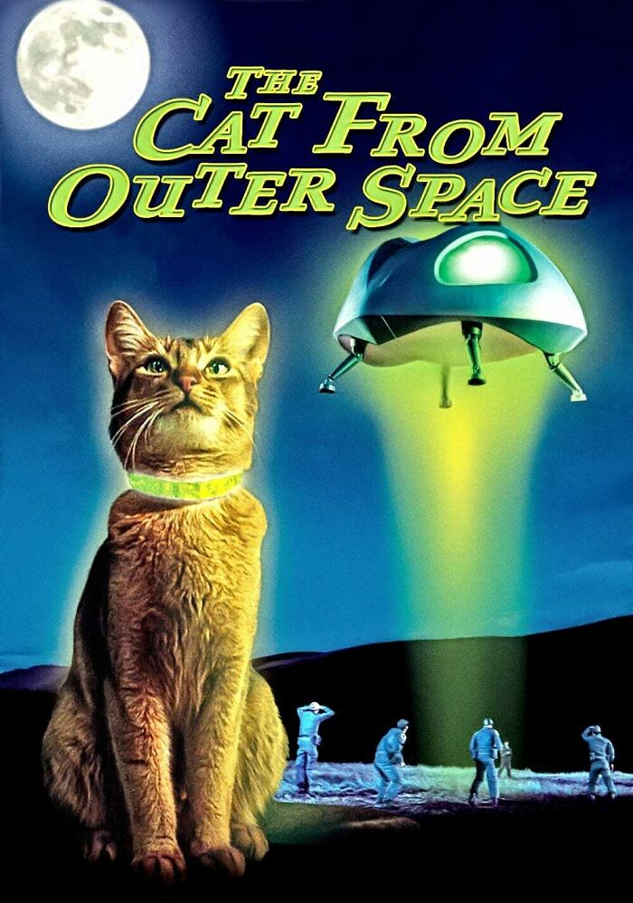 The Cat From Outer Space