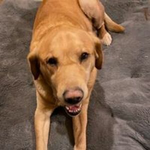 braydee_e_l_hinkley avatar