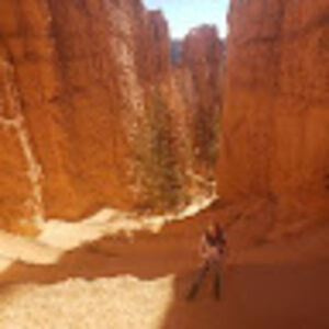 triciablondin-brown avatar