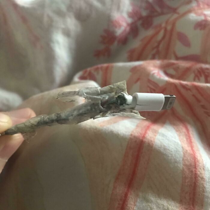 My Gfs iPhone Charger Cable Which She Won’t Replace Because “It Works”