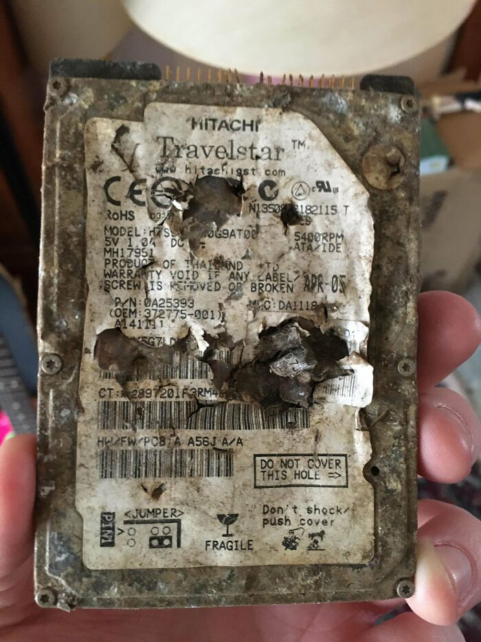 Found An Old Hdd I Buried In My Yard When I Was Around 10