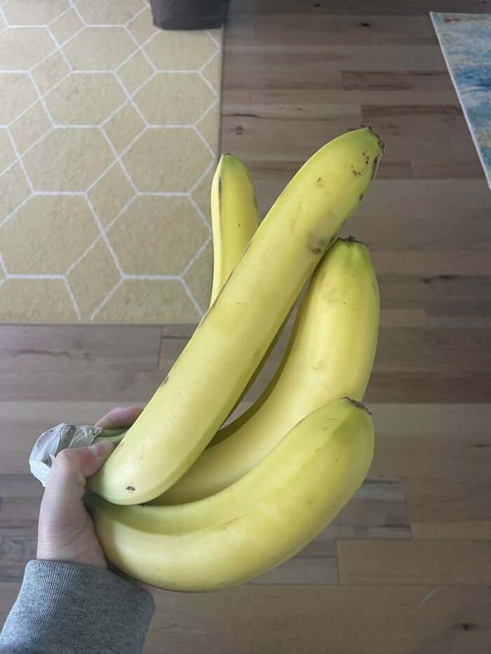 Estos plátanos que mi esposa compró en la tienda