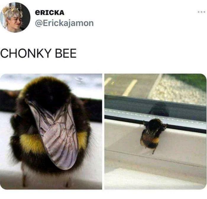 Absolute Unit Of A Bee
