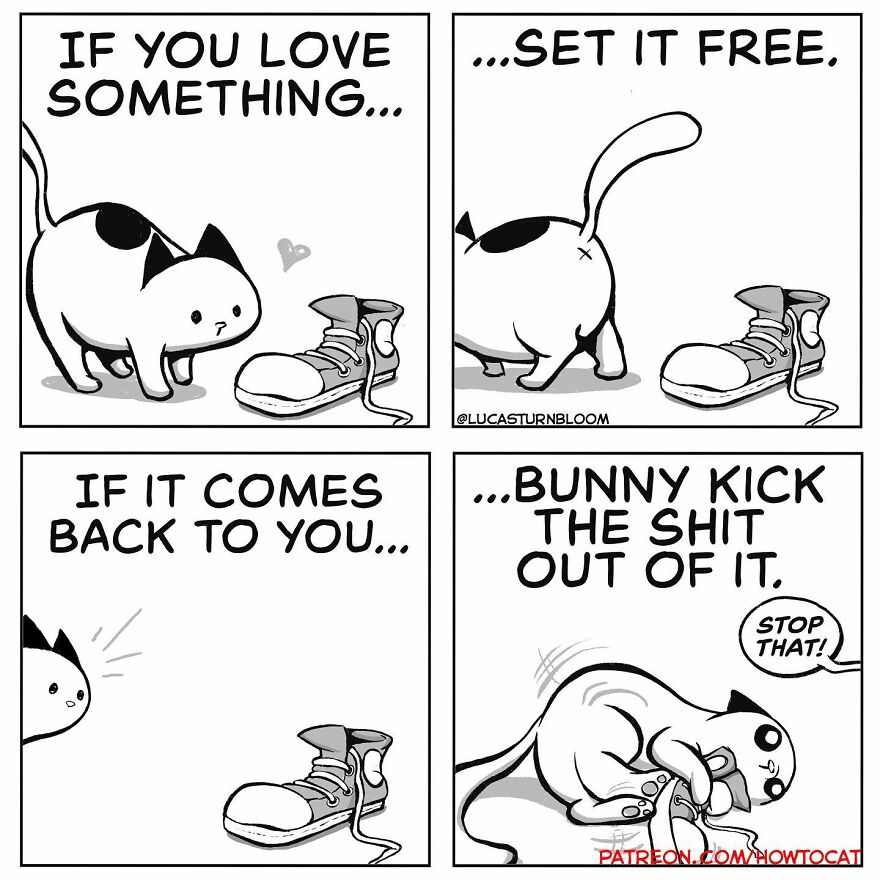 New Hilarious Comics Show What It’s Like To Live With A Cat