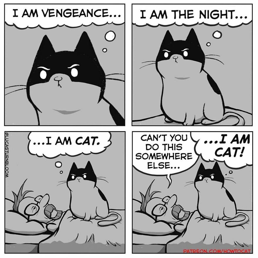 New Hilarious Comics Show What It’s Like To Live With A Cat