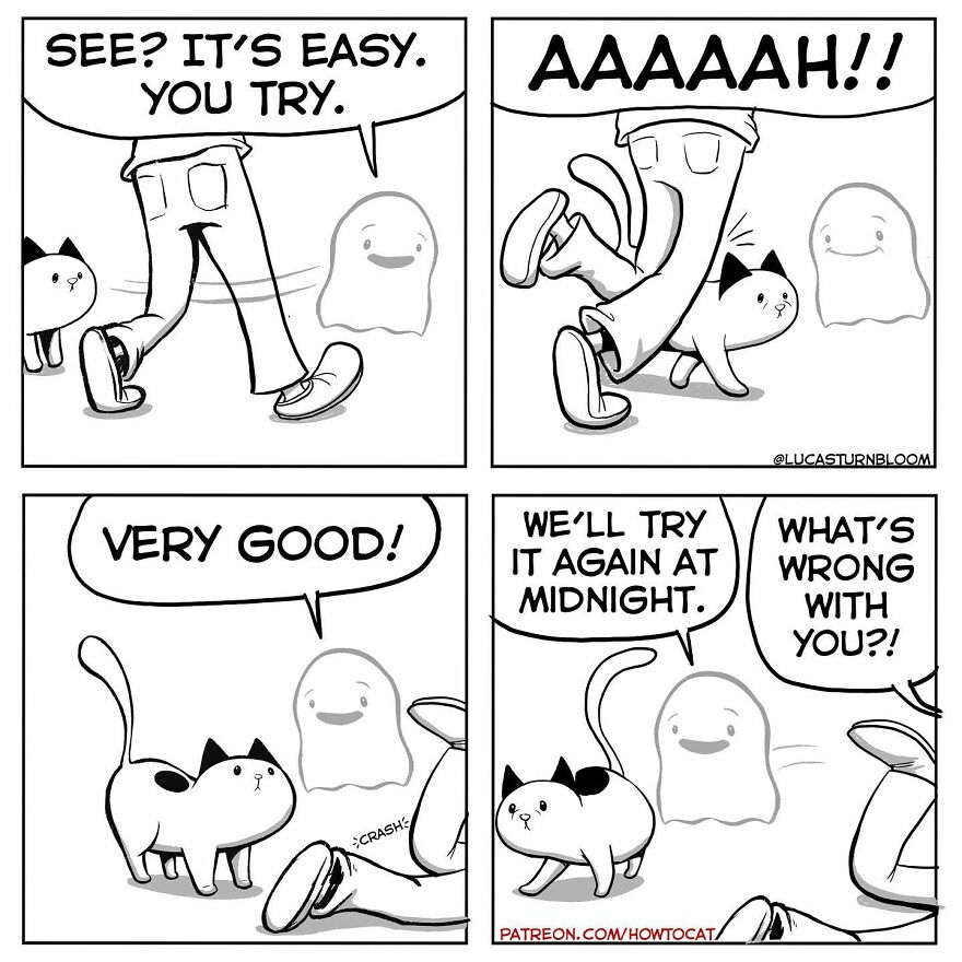 New Hilarious Comics Show What It’s Like To Live With A Cat