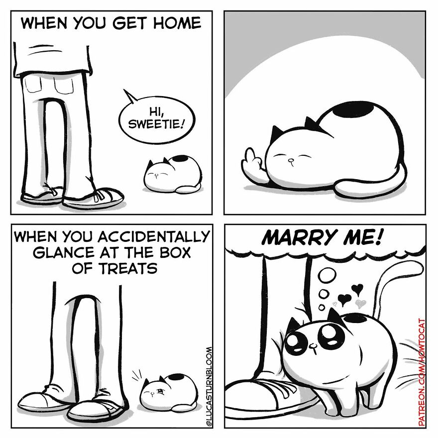 New Hilarious Comics Show What It’s Like To Live With A Cat