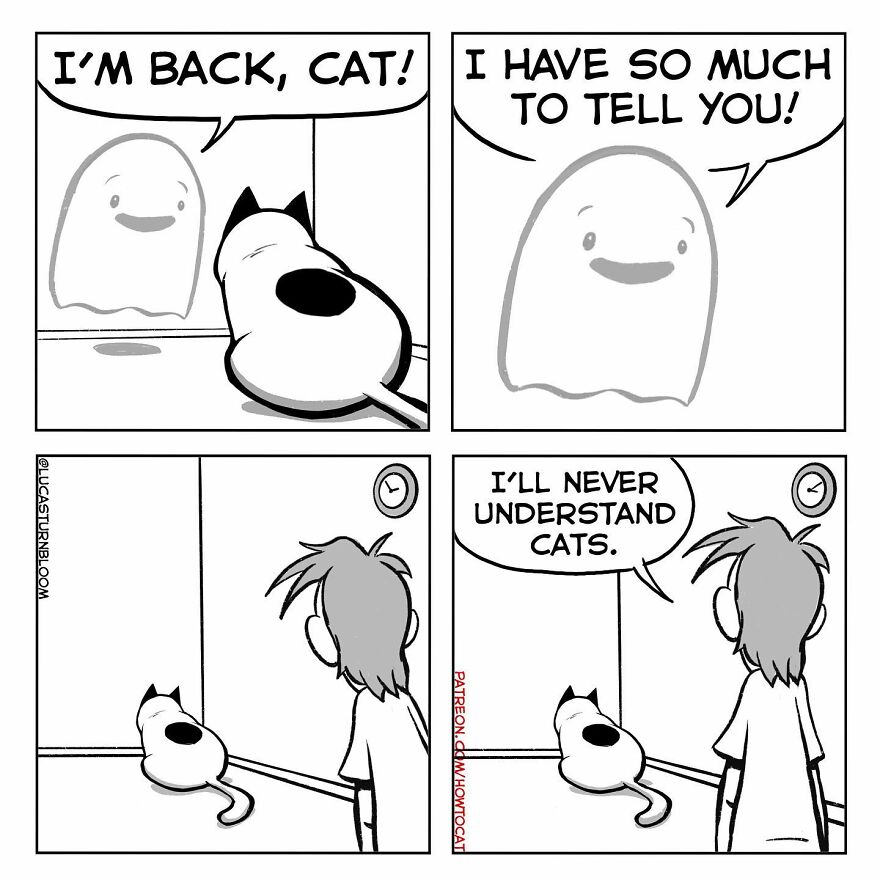 New Hilarious Comics Show What It’s Like To Live With A Cat