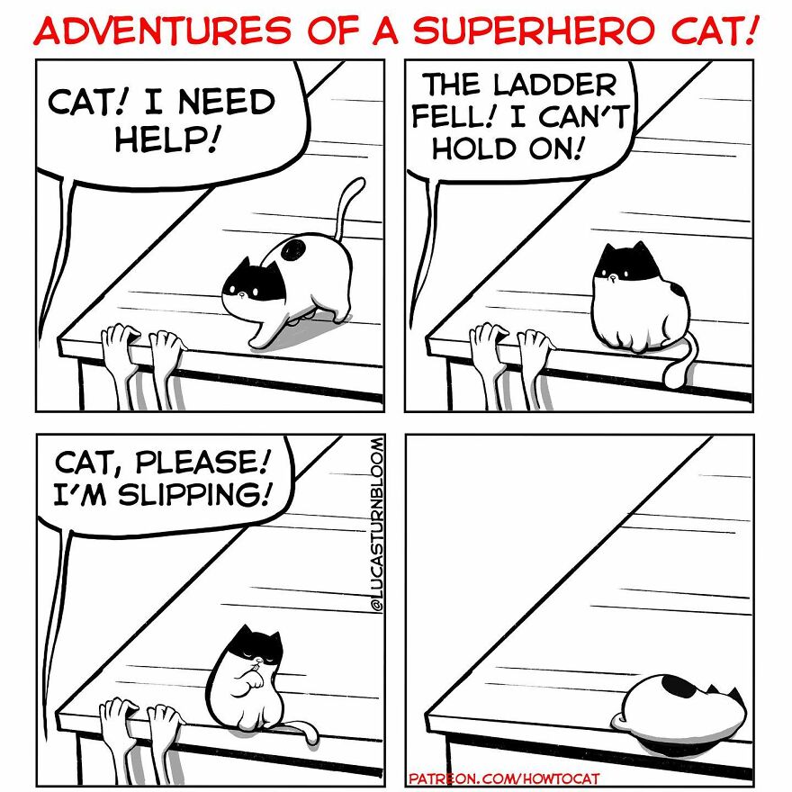 New Hilarious Comics Show What It’s Like To Live With A Cat