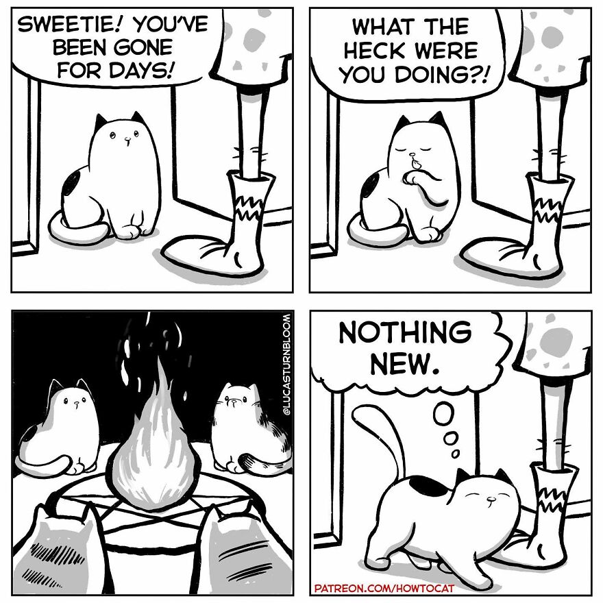 New Hilarious Comics Show What It’s Like To Live With A Cat