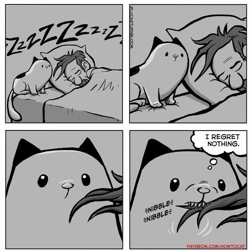 New Hilarious Comics Show What It’s Like To Live With A Cat