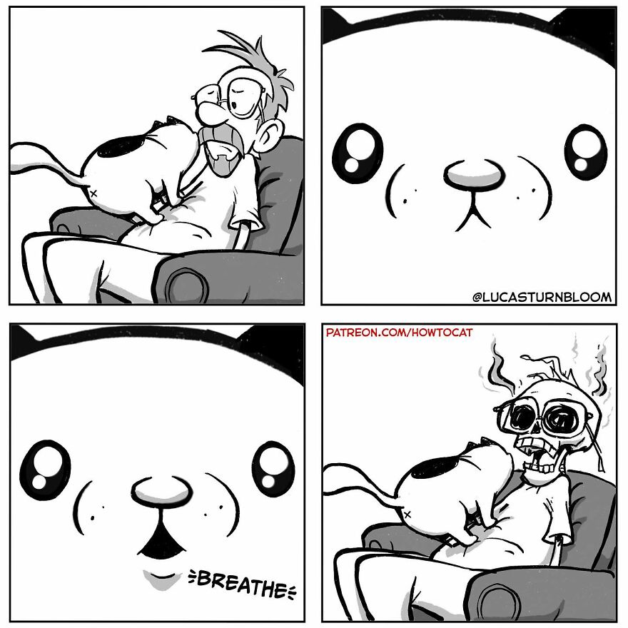 New Hilarious Comics Show What It’s Like To Live With A Cat