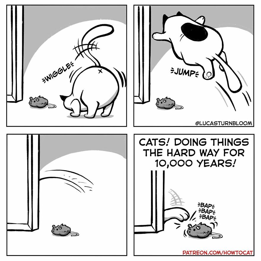 New Hilarious Comics Show What It’s Like To Live With A Cat