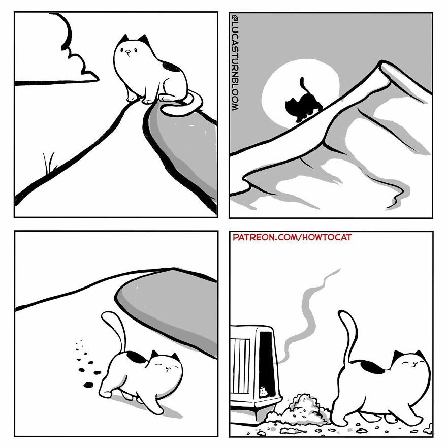 New Hilarious Comics Show What It’s Like To Live With A Cat