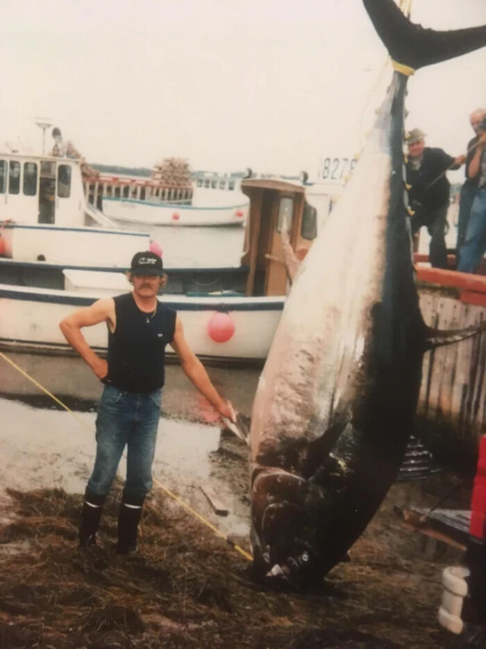 Fisherman With One Of His Prized Catches, A Bluefin Tuna