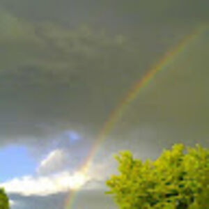 tamidickerson avatar