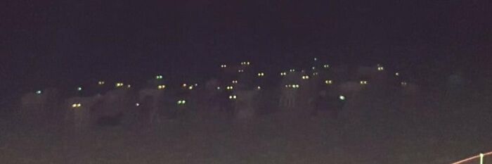 I Took A Picture Of A Sheep Heard At Night And It Turned Out Pretty Scary