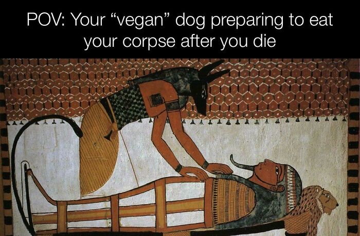 You Anubis Was Coming