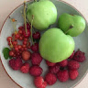 annorafarstad avatar