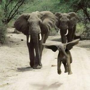 amb20firewalker44 avatar