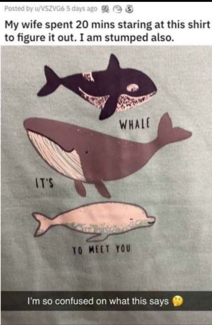 Whale It's To Meet You