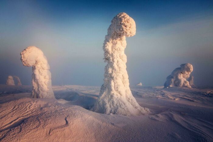 Finnish Lapland Trees In Winter Look Like Nuclear Explosions