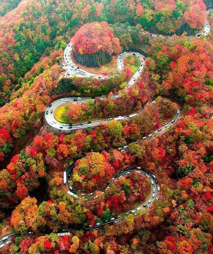 Glorious Autumn Colors - Iroha-Zaka, Nikko, Japan