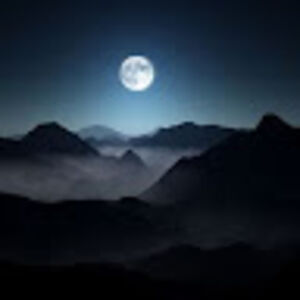 vaishnavisingh_1 avatar