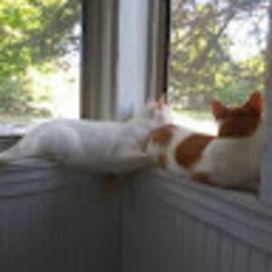 christopherdanzl avatar