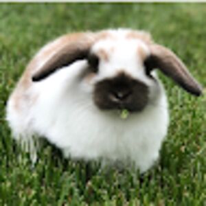 audreyhildebrand avatar