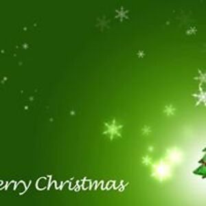 firtradetrees avatar