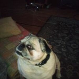 johnnydalelong46 avatar