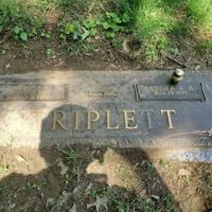 bryan_triplett avatar