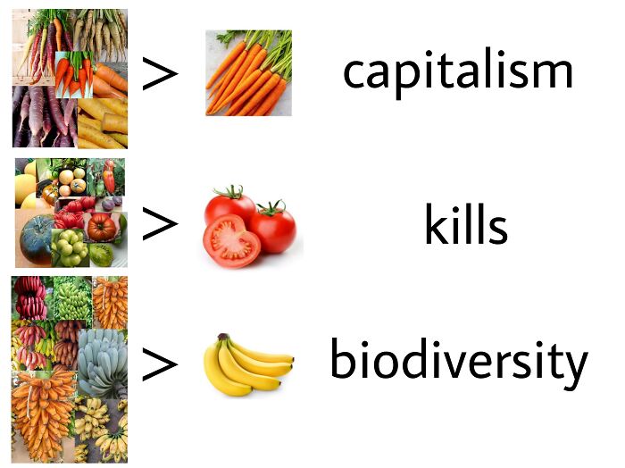 Gardening Is A Revolutionary Act