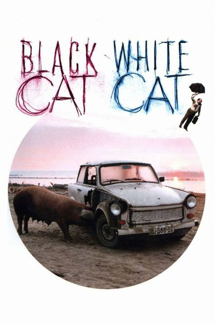 Black Cat White Cat