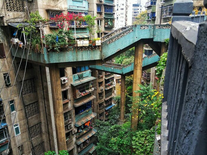 Chongqing Can Be Gritty, But There Is Also A Solarpunk Energy That I Find Inspiring