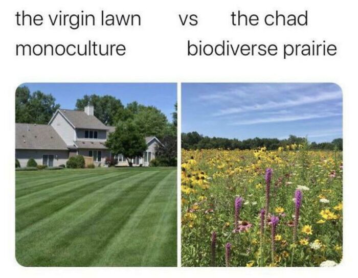 Biodiverse Prairie Is The Ultimate Chad