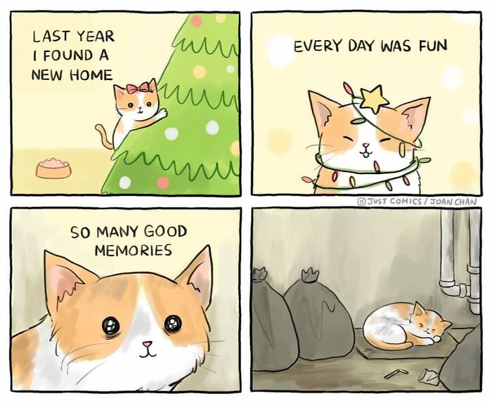 Thanks, I Hate People Who Abandon Thier Kitties