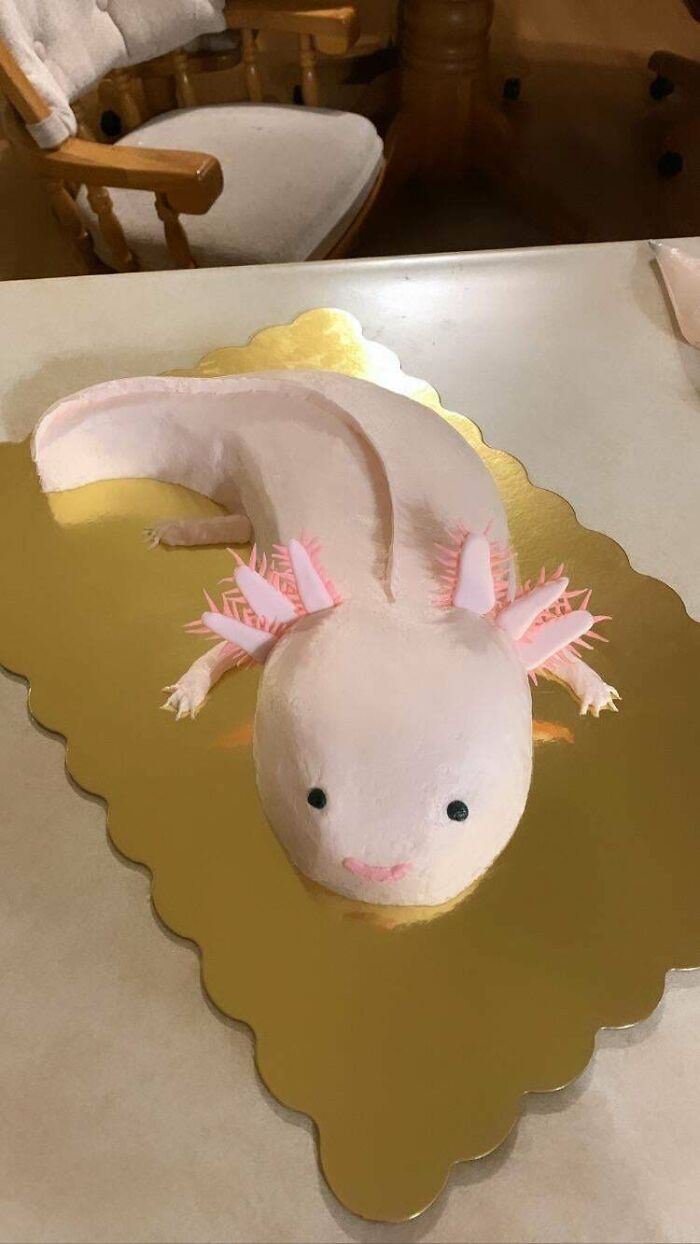 Axolotl Cake I Made For My Boyfriends Mom