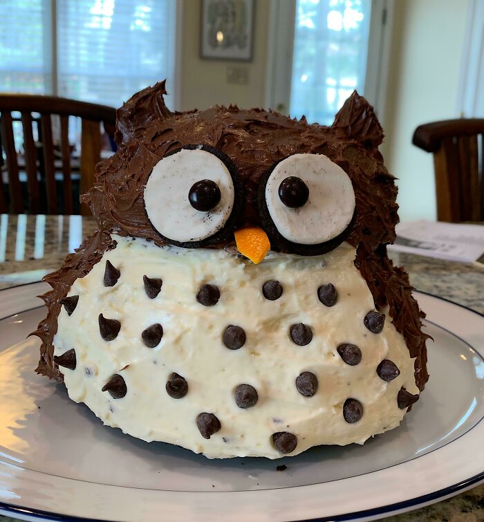 When It’s My Birthday Around Here, I Make My Own Cake! Meet Pete, He’s A Hoot!