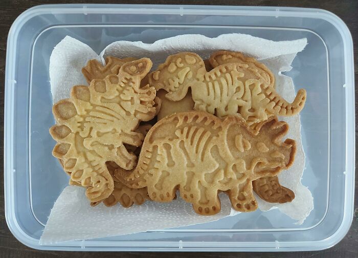 Dinosaur Cookies! 