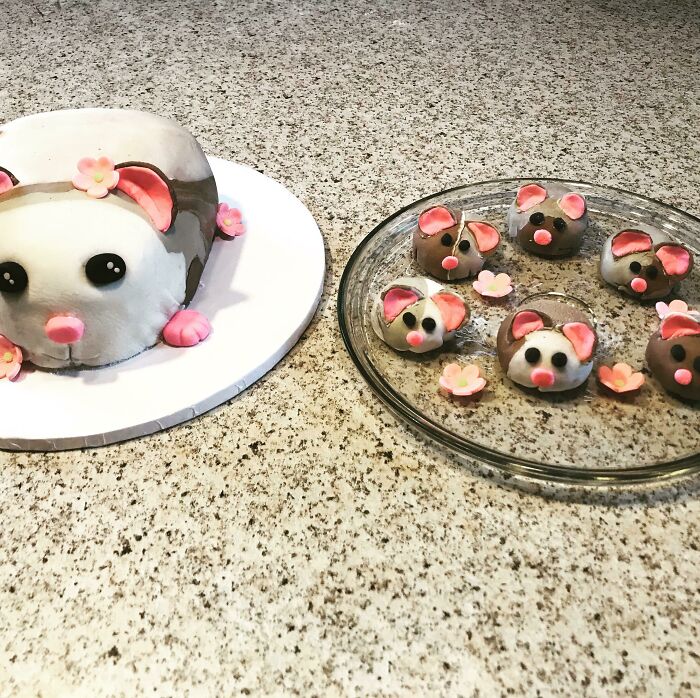 My Daughter Wanted A Hamster Cake For Her Birthday. So I Did Cake And Cake Balls