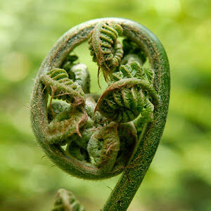 ashwarrenshirley avatar