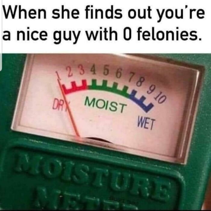 Ah Yes, Nothing Like A Felon To Turn Someone On