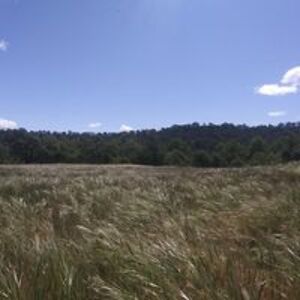 venabledavid07 avatar