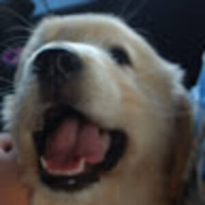 scottyoungberg avatar