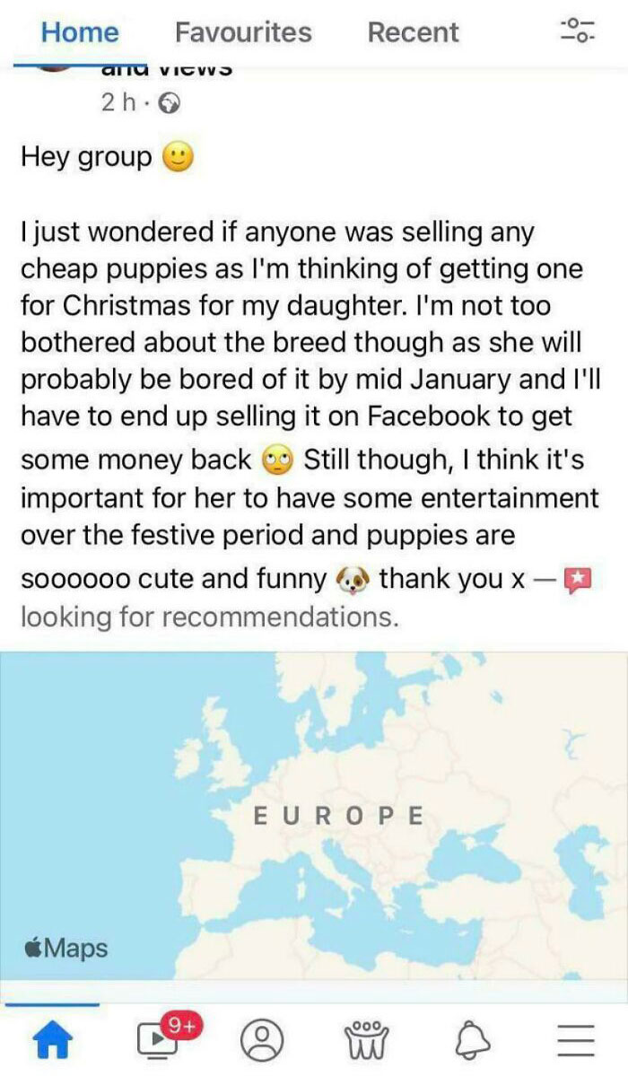 I Hope She Doesn’t Find Out You Can Adopt Dogs For Free From A Shelter