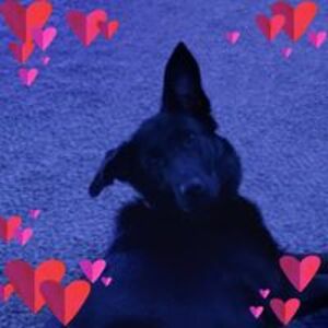 homeandfood2020 avatar