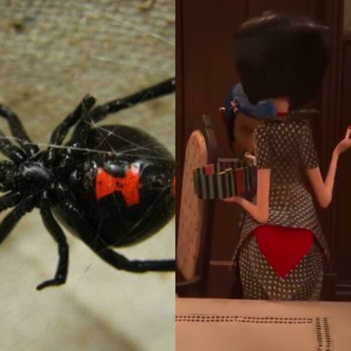En “Coraline” la ropa de la otra madre cambia de a poco para parecerse a una araña viuda negra, lo que podría estar anticipando la escena en la que hace una tela de araña para atrapar a Coraline